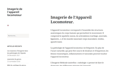 Desktop Screenshot of imosteoarticulaire-carrillon.com
